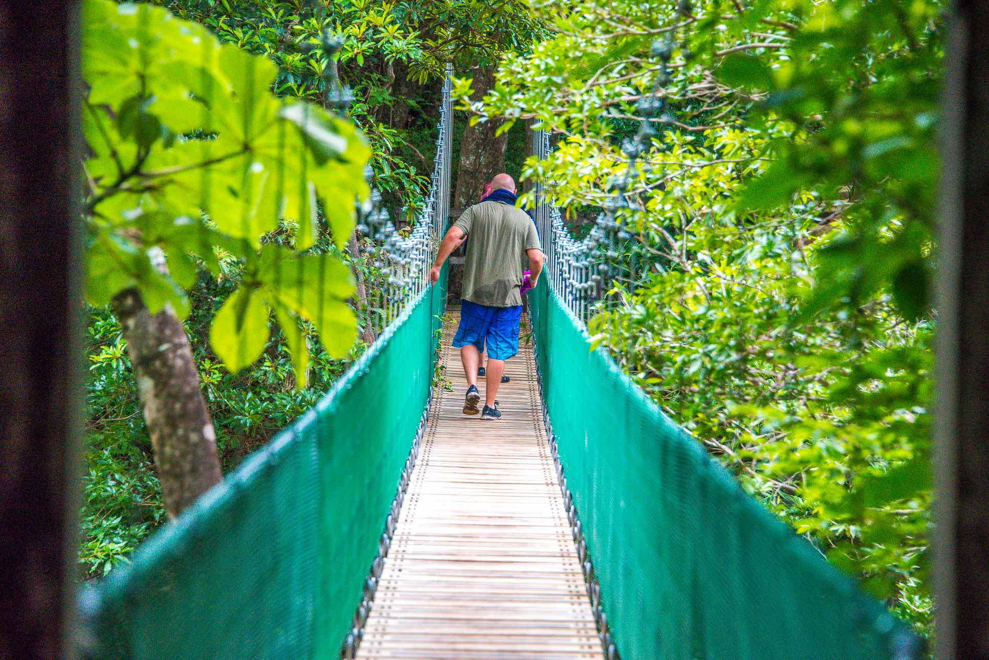 Hanging Bridge That Joins Both Sides Of The River Hot Springs Pools Rincon De La Vieja